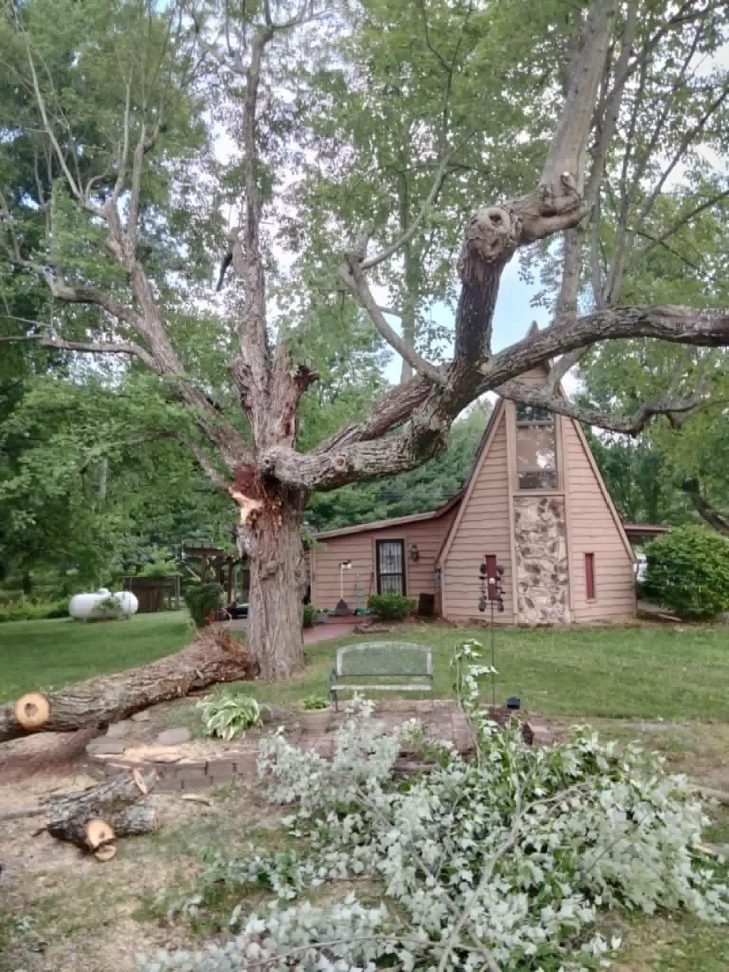Massive tree leaning over a home